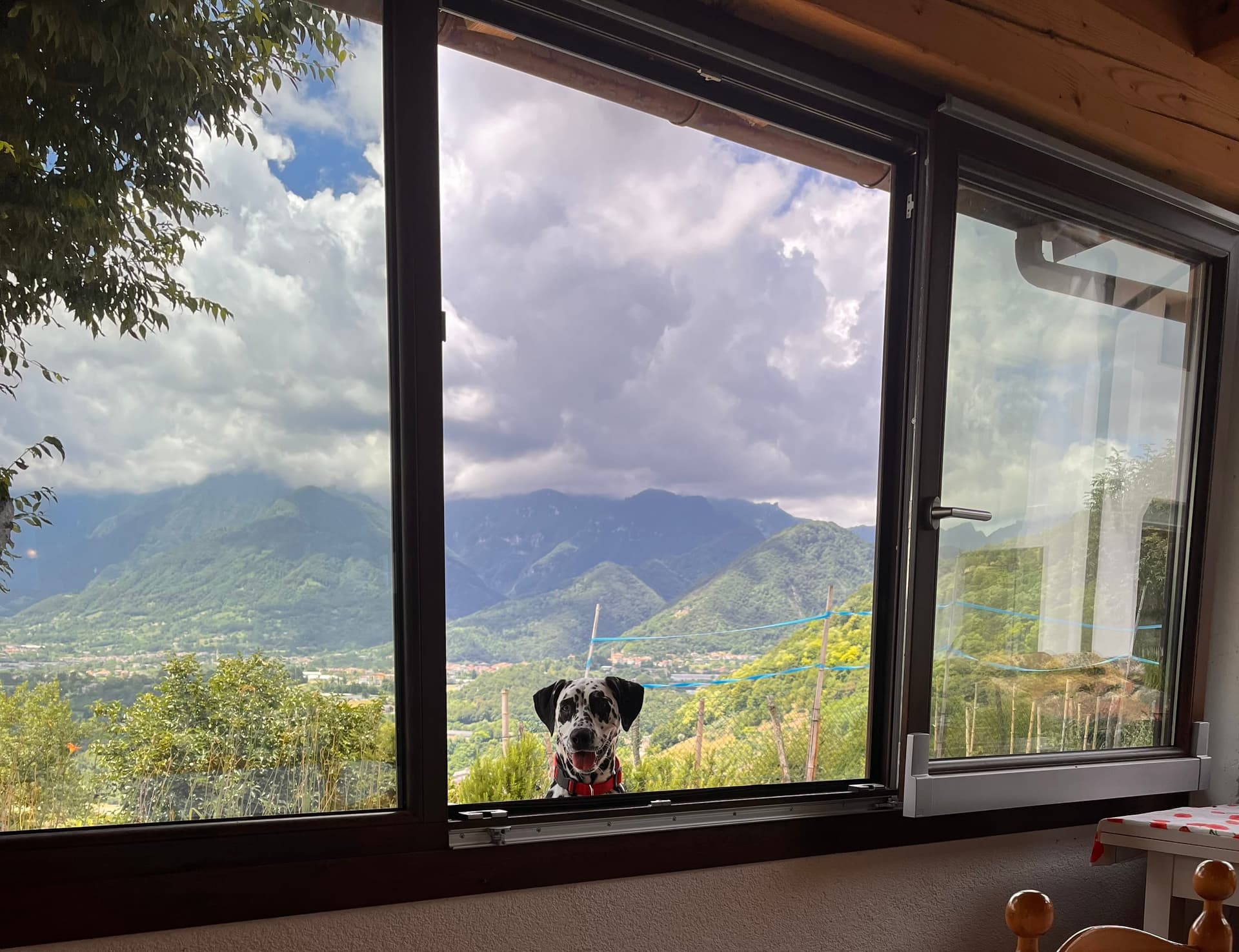 Esterni - Riva dei Coz