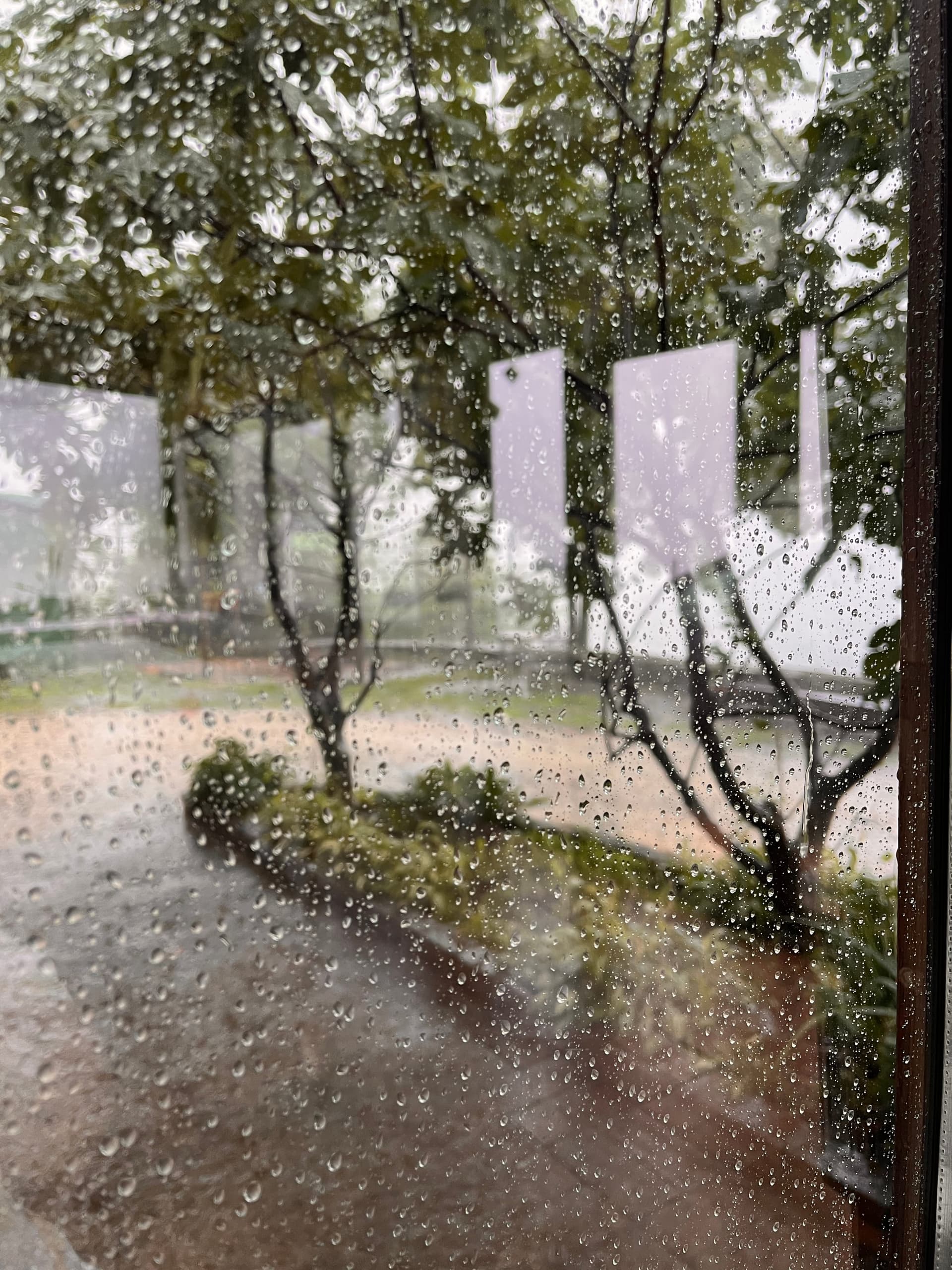 Esterni - Riva dei Coz