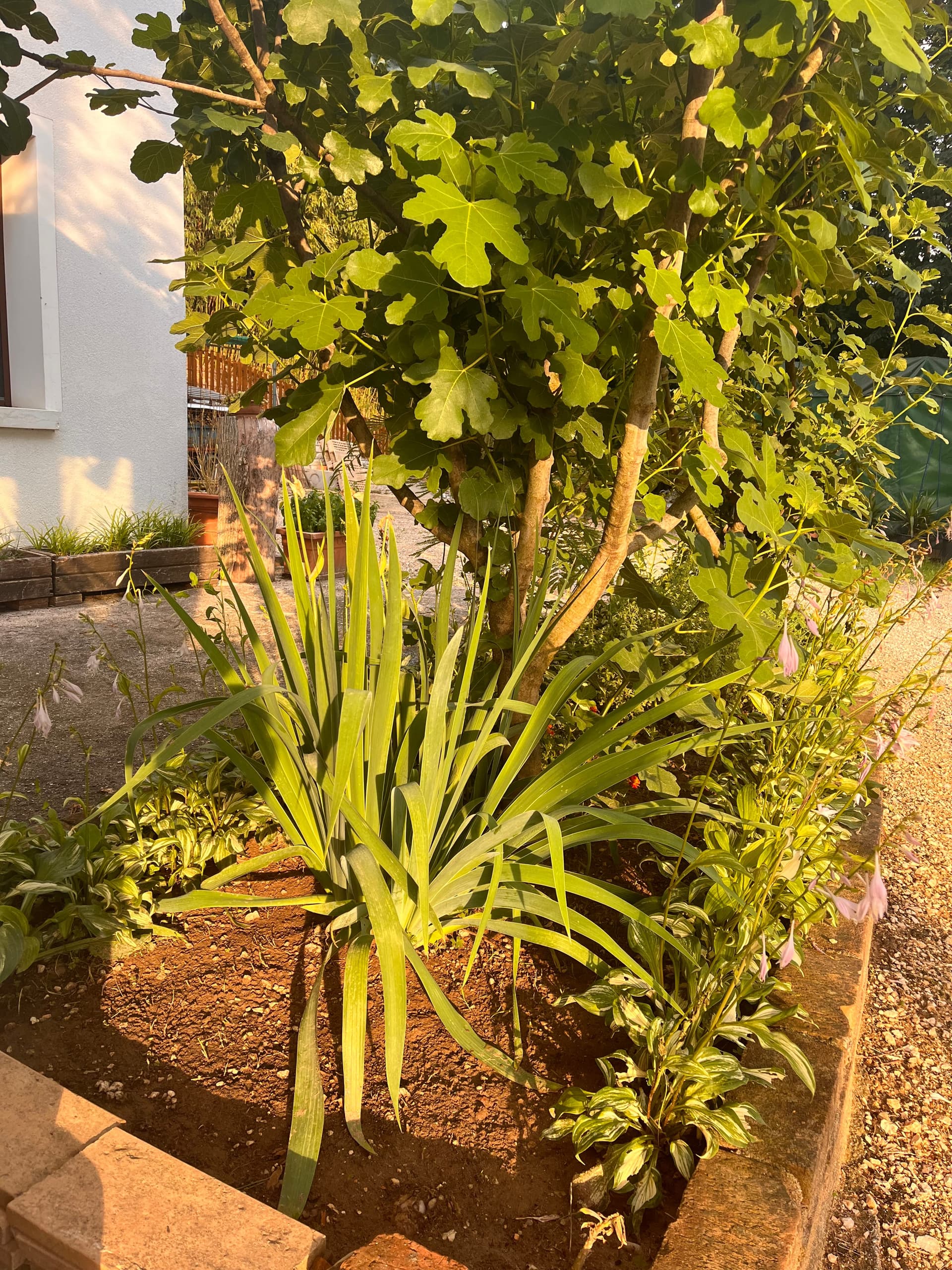 Esterni - Riva dei Coz