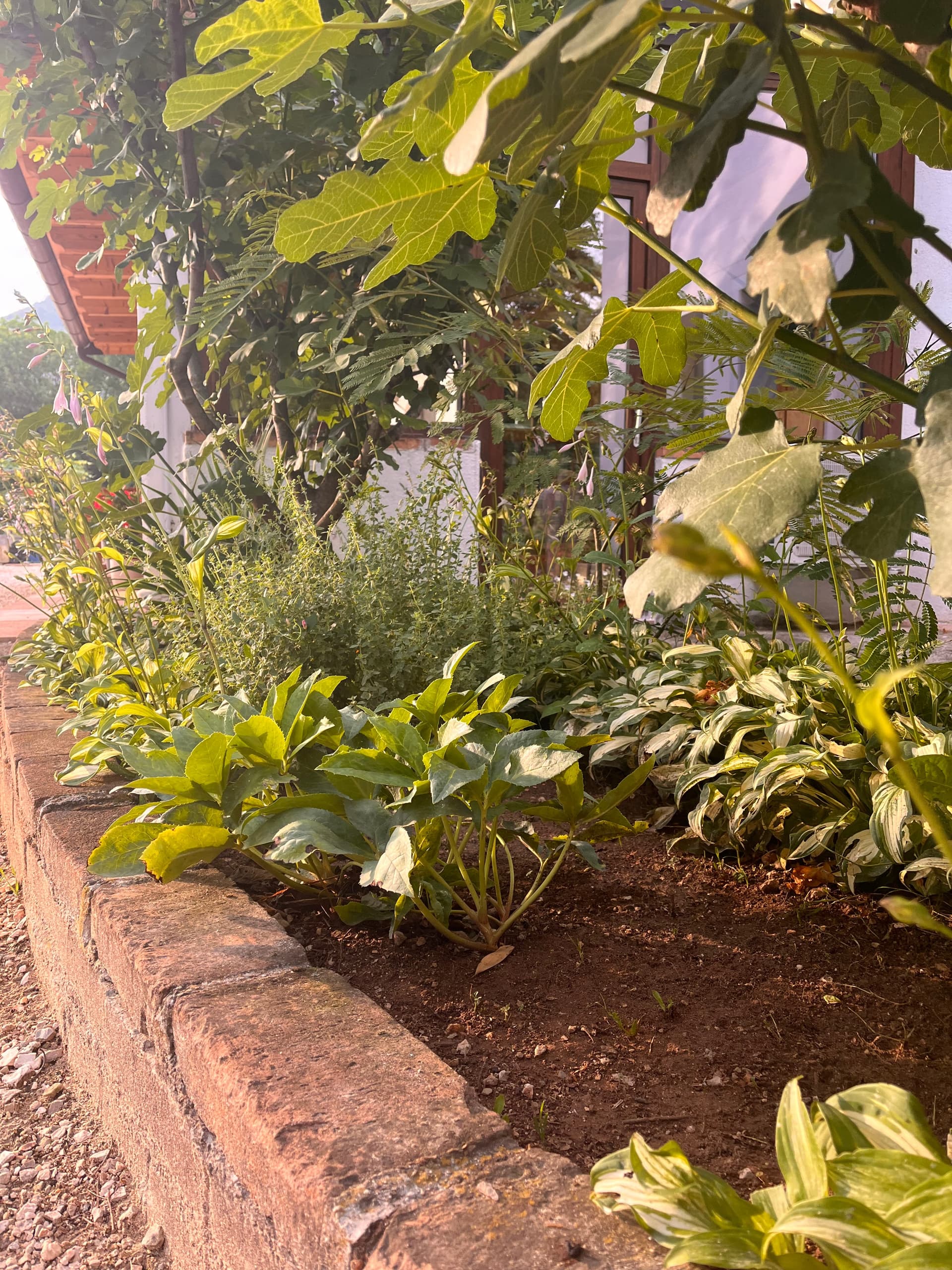 Esterni - Riva dei Coz