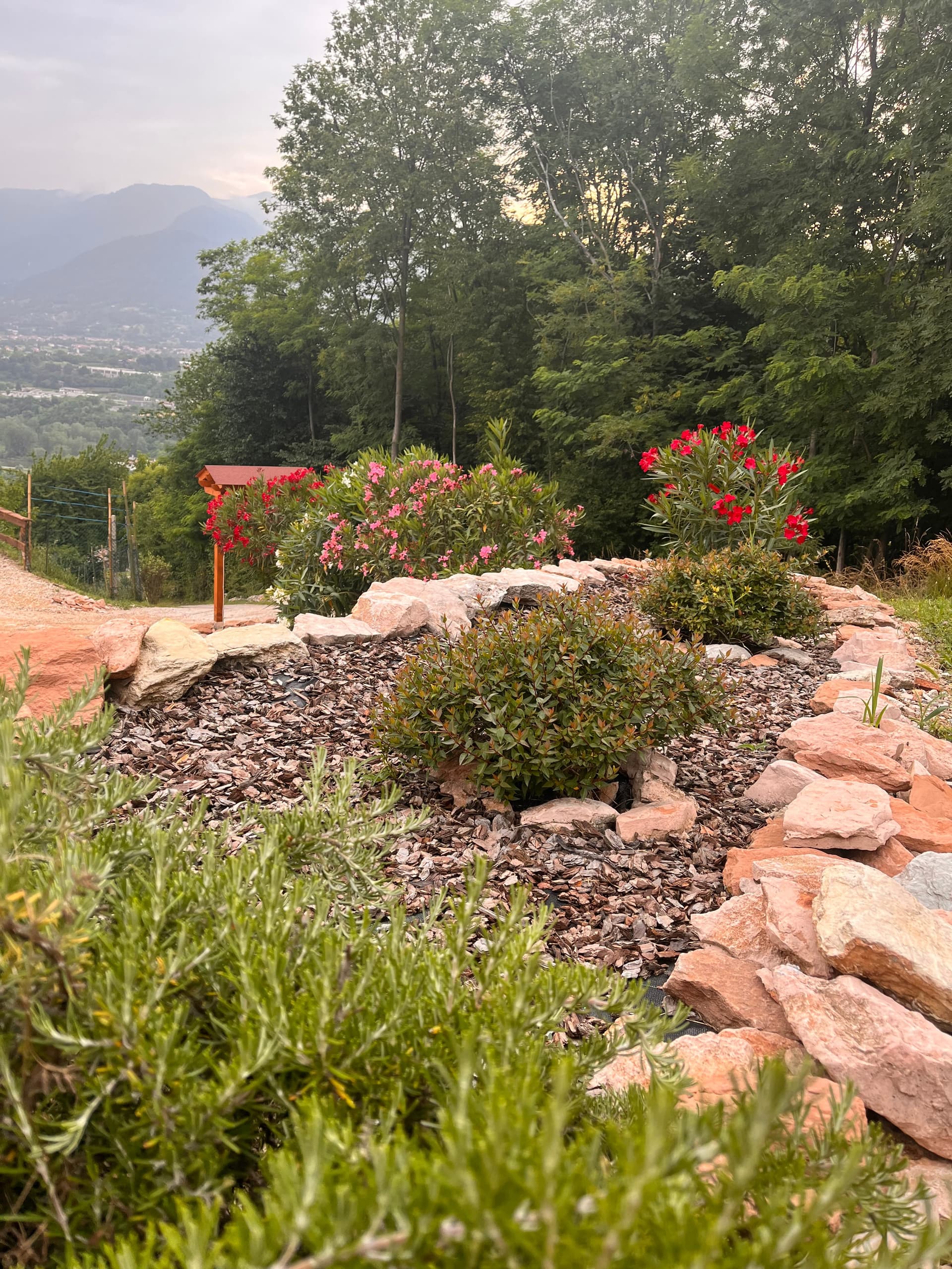 Esterni - Riva dei Coz