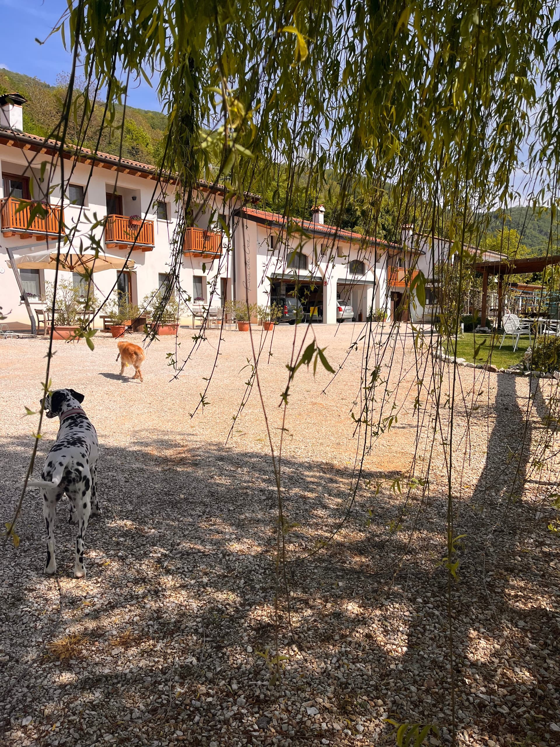 Esterni - Riva dei Coz