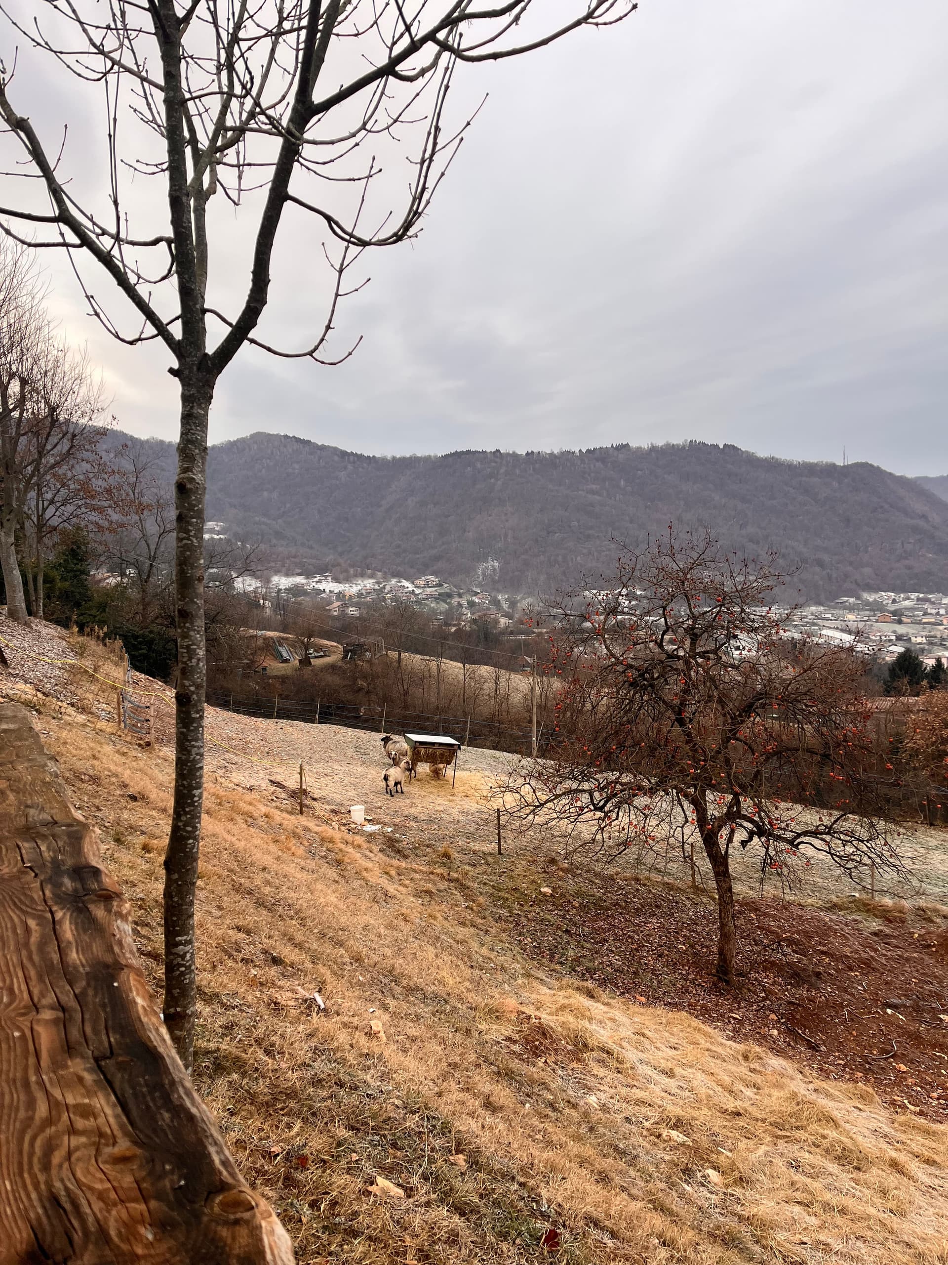 Esterni - Riva dei Coz