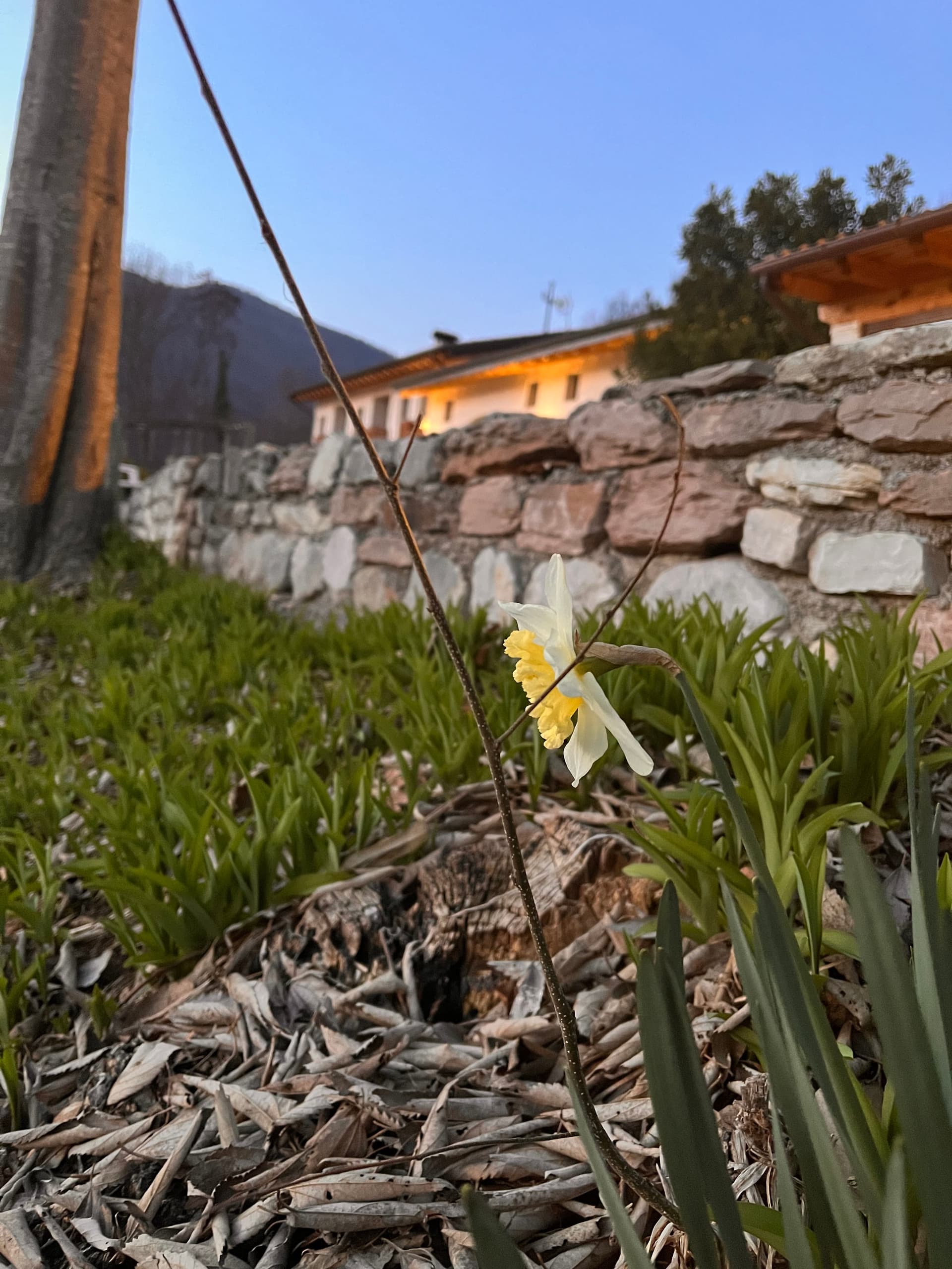 Esterni - Riva dei Coz