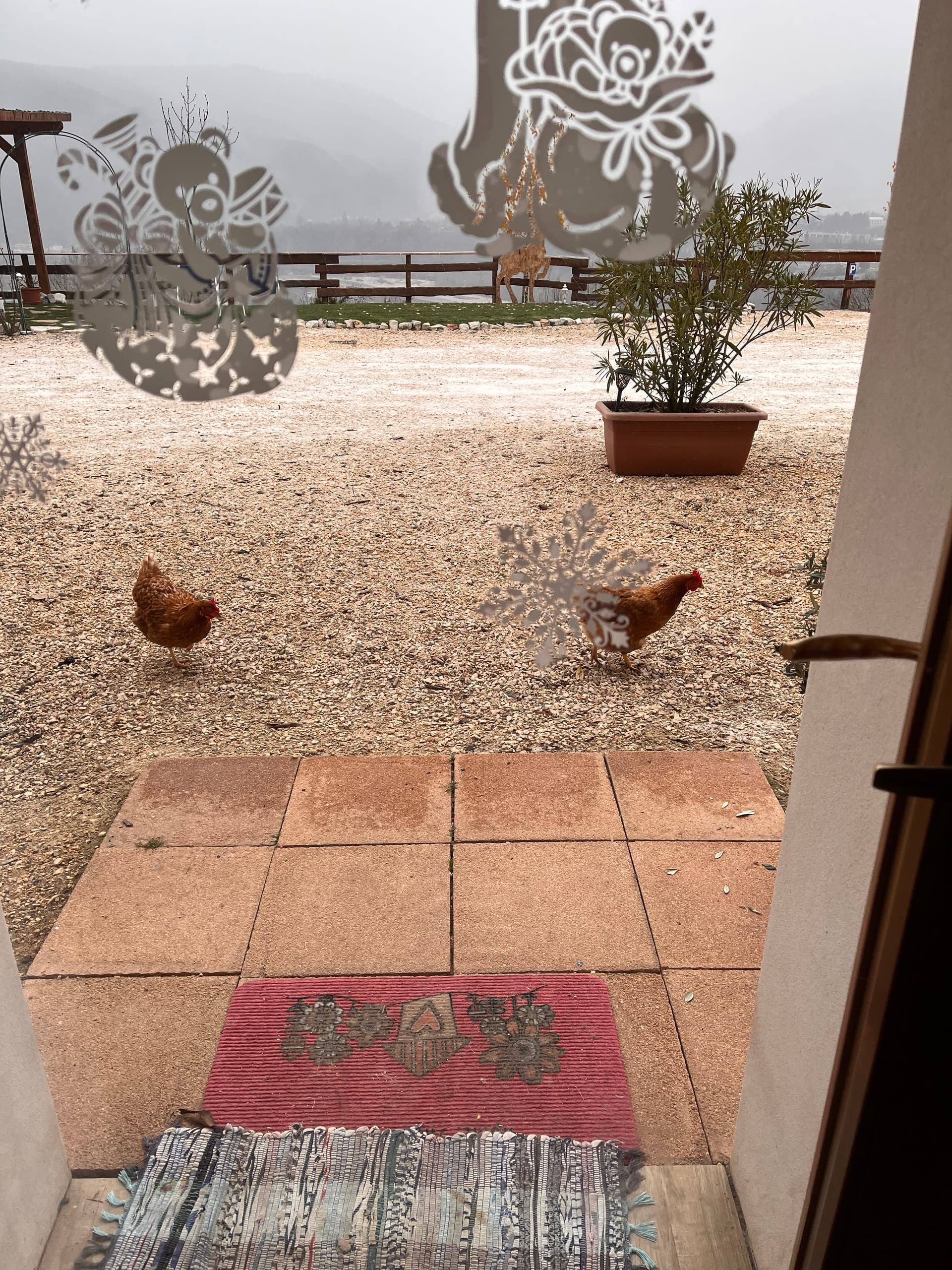 Fattoria - Riva dei Coz