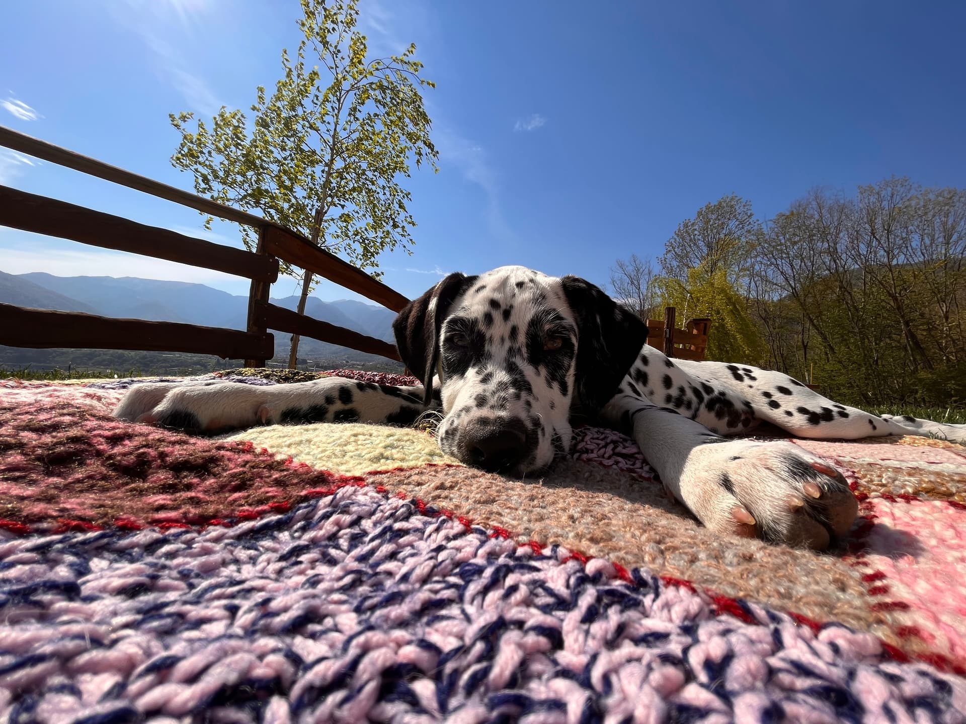 Fattoria - Riva dei Coz