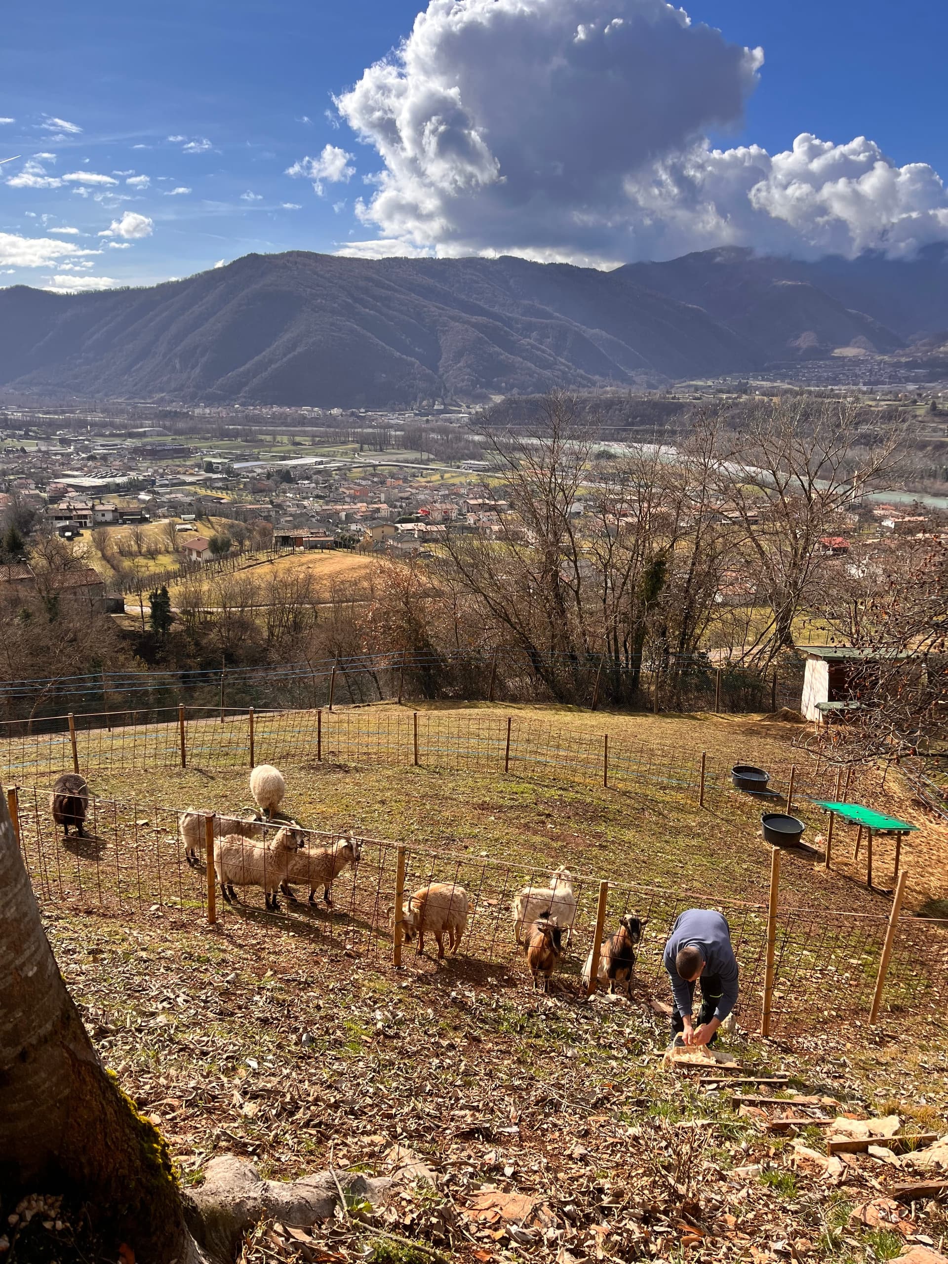 Fattoria - Riva dei Coz