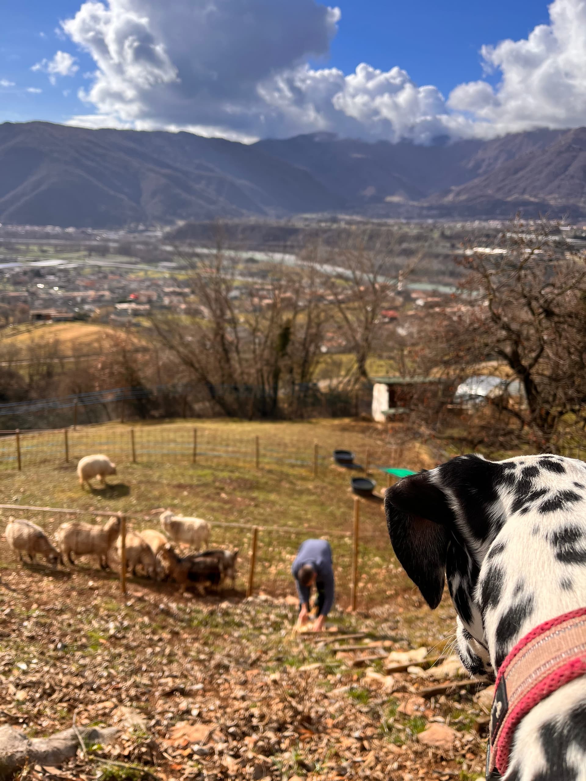 Fattoria - Riva dei Coz