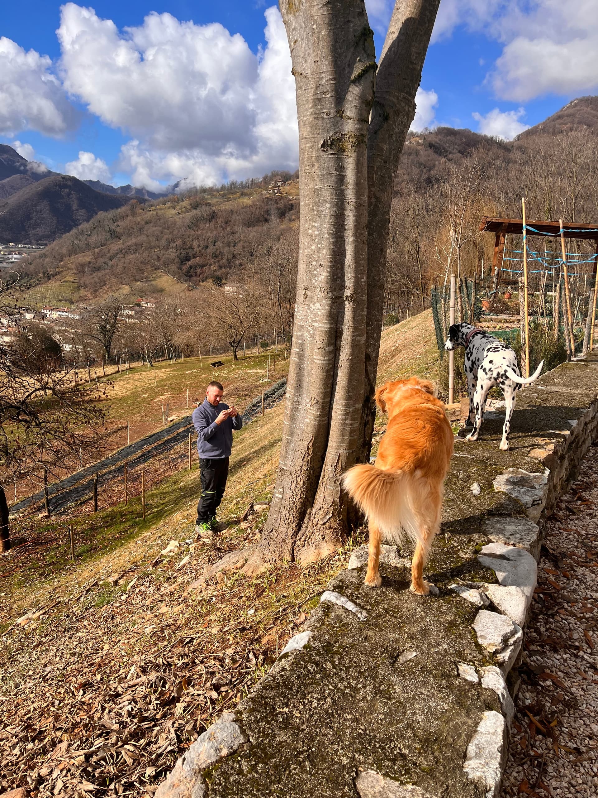 Fattoria - Riva dei Coz