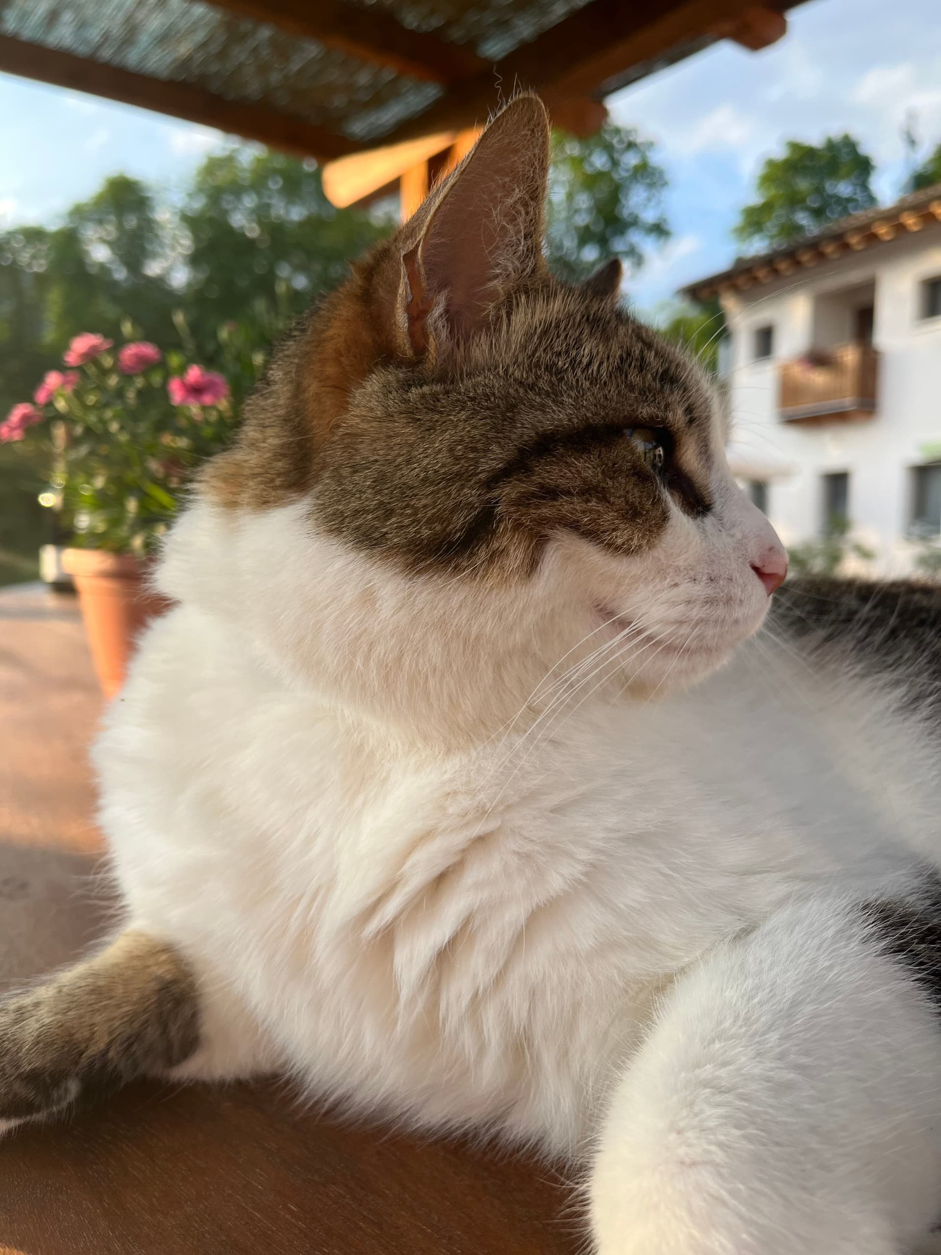 Fattoria - Riva dei Coz