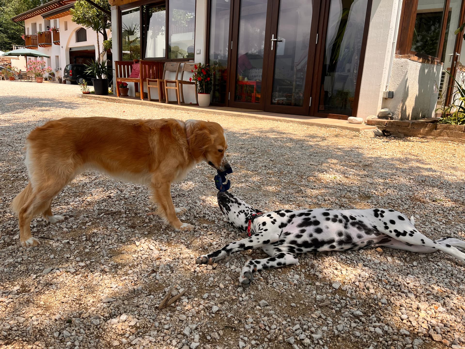 Fattoria - Riva dei Coz