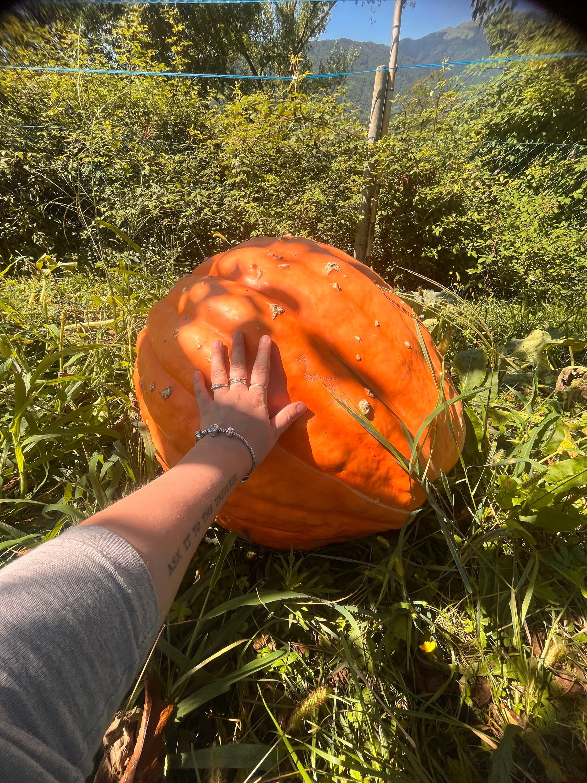 Fattoria - Riva dei Coz